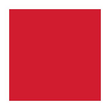 Red, Large Patch Handle Plastic Merchandise Bags