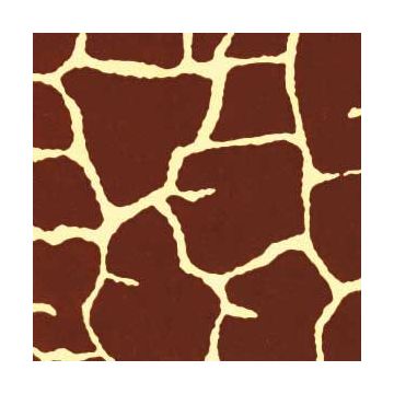 Giraffe, Animal Printed Tissue Paper