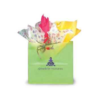 Lime, Large Frosted SOS Gift Bags