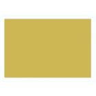 Everyday Gift Enclosure Card, Plain Matte - Gold