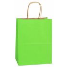 Apple Green, Medium Shadow Stripe Paper Shopping Bags, 8" x 4-3/4" x 10-1/2" (Cub)