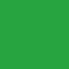 Dark Green, Medium Patch Handle Plastic Merchandise Bags